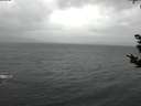 ./images/koeye/fitz-hugh/20181028/fitz-hugh20181028_171501.jpg