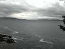 ./images/koeye/fitz-hugh/20181029/fitz-hugh20181029_074502.jpg
