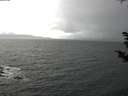 ./images/koeye/fitz-hugh/20181029/fitz-hugh20181029_150501.jpg