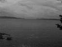 ./images/koeye/fitz-hugh/20181030/fitz-hugh20181030_074001.jpg