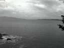 ./images/koeye/fitz-hugh/20181030/fitz-hugh20181030_074502.jpg