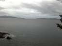./images/koeye/fitz-hugh/20181030/fitz-hugh20181030_075502.jpg