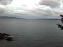 ./images/koeye/fitz-hugh/20181030/fitz-hugh20181030_081002.jpg