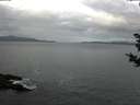 ./images/koeye/fitz-hugh/20181030/fitz-hugh20181030_084002.jpg