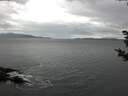 ./images/koeye/fitz-hugh/20181030/fitz-hugh20181030_085502.jpg