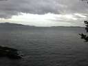./images/koeye/fitz-hugh/20181030/fitz-hugh20181030_093501.jpg