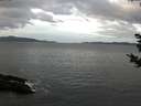 ./images/koeye/fitz-hugh/20181030/fitz-hugh20181030_094001.jpg