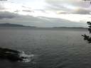 ./images/koeye/fitz-hugh/20181030/fitz-hugh20181030_100501.jpg