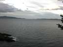 ./images/koeye/fitz-hugh/20181030/fitz-hugh20181030_101001.jpg