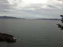 ./images/koeye/fitz-hugh/20181030/fitz-hugh20181030_104501.jpg