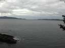 ./images/koeye/fitz-hugh/20181030/fitz-hugh20181030_110501.jpg