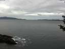 ./images/koeye/fitz-hugh/20181030/fitz-hugh20181030_114502.jpg