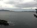./images/koeye/fitz-hugh/20181030/fitz-hugh20181030_115002.jpg