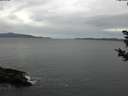 ./images/koeye/fitz-hugh/20181030/fitz-hugh20181030_115502.jpg