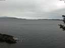 ./images/koeye/fitz-hugh/20181030/fitz-hugh20181030_120502.jpg