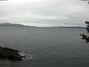 ./images/koeye/fitz-hugh/20181030/fitz-hugh20181030_121002.jpg