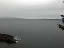 ./images/koeye/fitz-hugh/20181030/fitz-hugh20181030_122502.jpg
