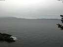 ./images/koeye/fitz-hugh/20181030/fitz-hugh20181030_123501.jpg