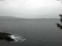 ./images/koeye/fitz-hugh/20181030/fitz-hugh20181030_124501.jpg