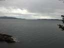 ./images/koeye/fitz-hugh/20181030/fitz-hugh20181030_130501.jpg