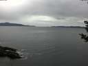 ./images/koeye/fitz-hugh/20181030/fitz-hugh20181030_132501.jpg