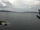 ./images/koeye/fitz-hugh/20181030/fitz-hugh20181030_142502.jpg