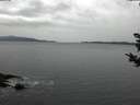 ./images/koeye/fitz-hugh/20181030/fitz-hugh20181030_143502.jpg