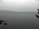 ./images/koeye/fitz-hugh/20181030/fitz-hugh20181030_145502.jpg