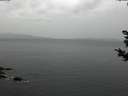 ./images/koeye/fitz-hugh/20181030/fitz-hugh20181030_151502.jpg