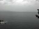 ./images/koeye/fitz-hugh/20181030/fitz-hugh20181030_154001.jpg