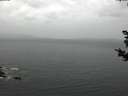 ./images/koeye/fitz-hugh/20181030/fitz-hugh20181030_155001.jpg