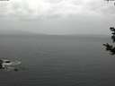 ./images/koeye/fitz-hugh/20181030/fitz-hugh20181030_155501.jpg