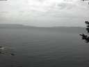 ./images/koeye/fitz-hugh/20181030/fitz-hugh20181030_161001.jpg