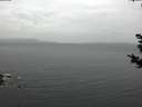 ./images/koeye/fitz-hugh/20181030/fitz-hugh20181030_162001.jpg