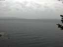 ./images/koeye/fitz-hugh/20181030/fitz-hugh20181030_162501.jpg