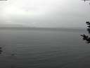 ./images/koeye/fitz-hugh/20181030/fitz-hugh20181030_164501.jpg