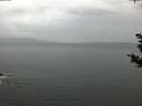 ./images/koeye/fitz-hugh/20181030/fitz-hugh20181030_165501.jpg