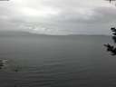 ./images/koeye/fitz-hugh/20181030/fitz-hugh20181030_170501.jpg