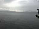 ./images/koeye/fitz-hugh/20181030/fitz-hugh20181030_173501.jpg