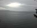 ./images/koeye/fitz-hugh/20181030/fitz-hugh20181030_180502.jpg