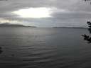 ./images/koeye/fitz-hugh/20181030/fitz-hugh20181030_182002.jpg