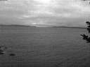 ./images/koeye/fitz-hugh/20181031/fitz-hugh20181031_074501.jpg