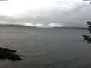 ./images/koeye/fitz-hugh/20181031/fitz-hugh20181031_110501.jpg
