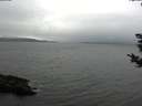 ./images/koeye/fitz-hugh/20181031/fitz-hugh20181031_125501.jpg