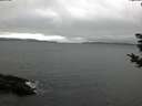 ./images/koeye/fitz-hugh/20181031/fitz-hugh20181031_135501.jpg