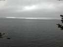 ./images/koeye/fitz-hugh/20181031/fitz-hugh20181031_180502.jpg