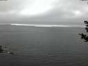 ./images/koeye/fitz-hugh/20181031/fitz-hugh20181031_181502.jpg