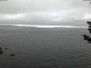 ./images/koeye/fitz-hugh/20181031/fitz-hugh20181031_182002.jpg