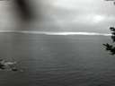 ./images/koeye/fitz-hugh/20181031/fitz-hugh20181031_182502.jpg