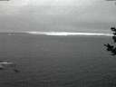 ./images/koeye/fitz-hugh/20181031/fitz-hugh20181031_184002.jpg